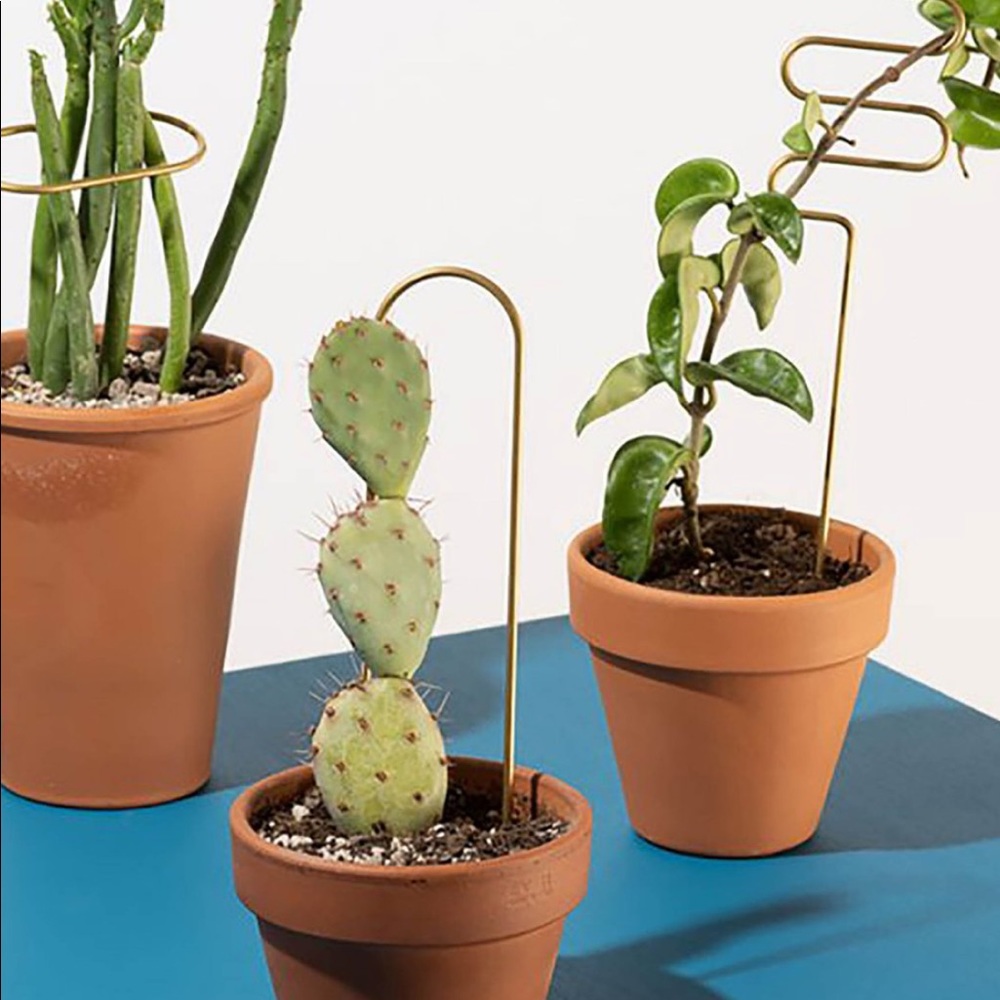 Meet your Posher, Carla